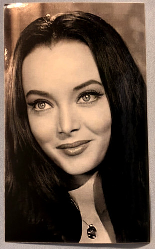 Adesivo morticia addams - morticia,